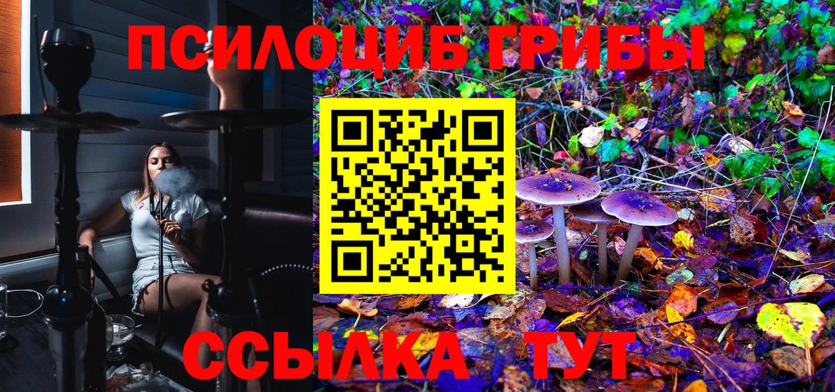 Псилоцибиновые грибы Psilocybe  Галлюциногенные грибы прущие грибы  Вход с VPN  Уфа 